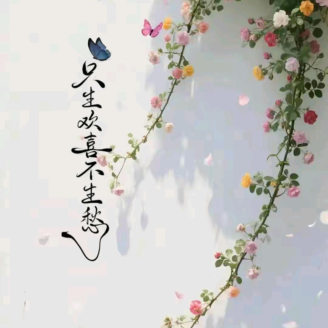 向阳而生