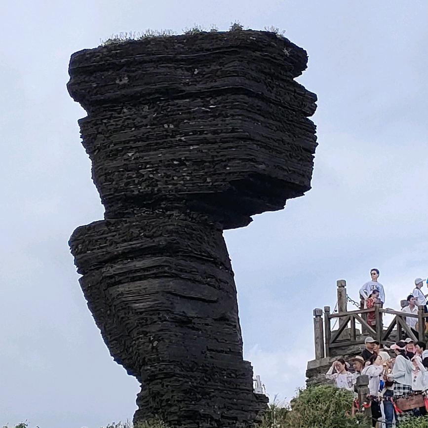 时光旅行者