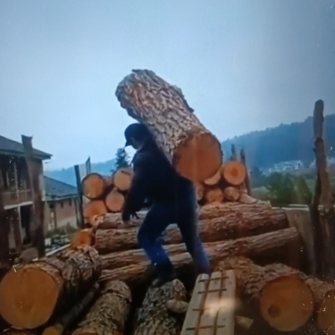 秀山县红星木材加工厂