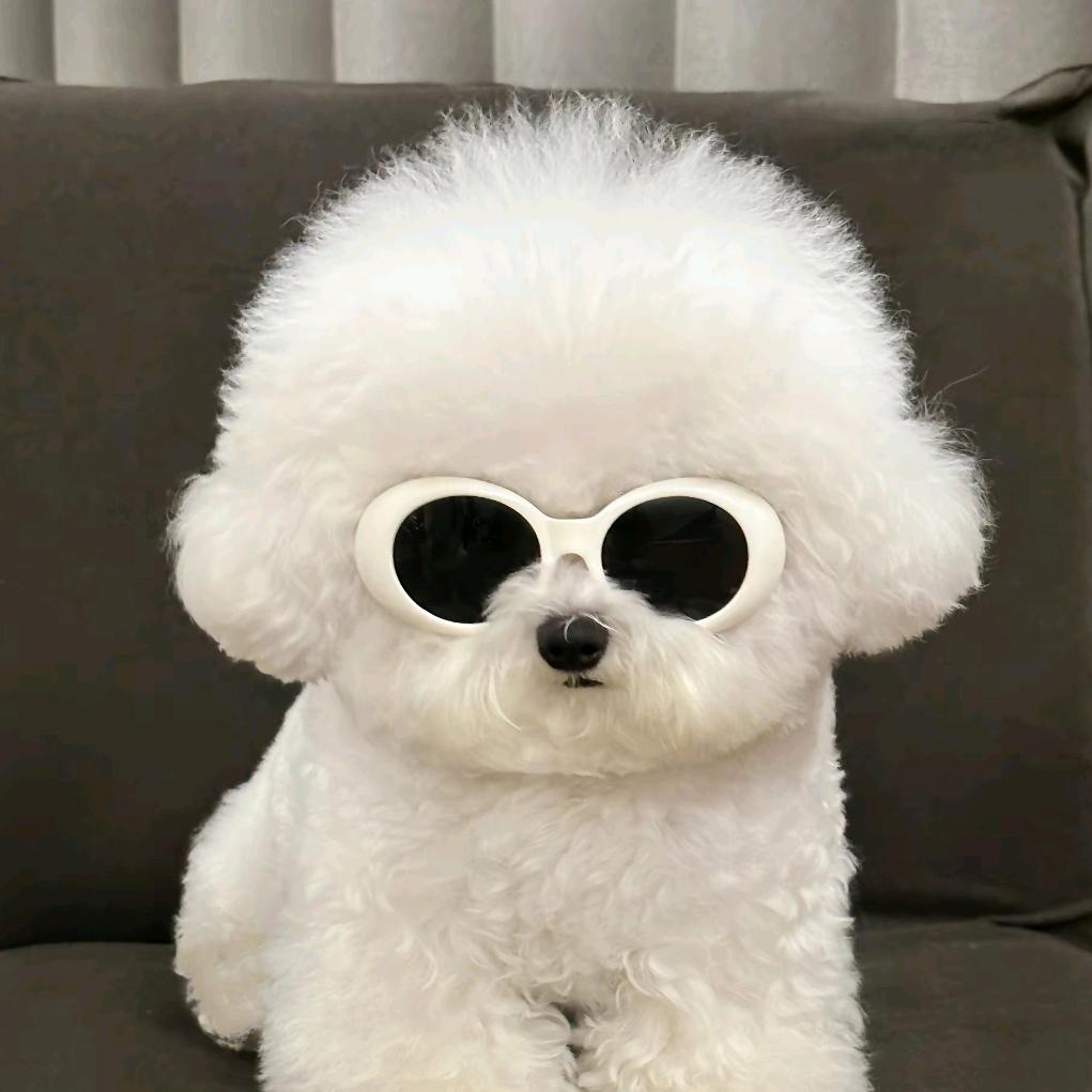 豁牙子