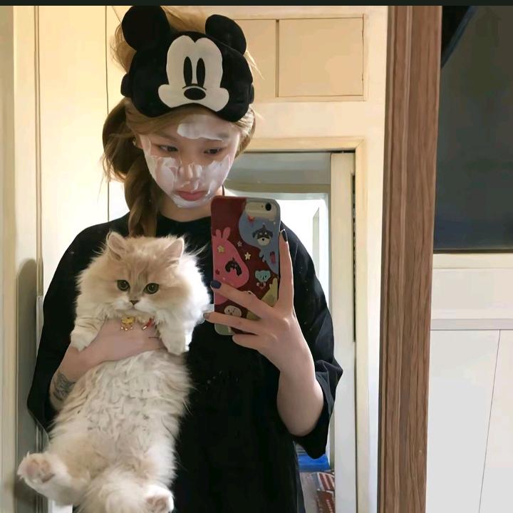 泰迪熊て