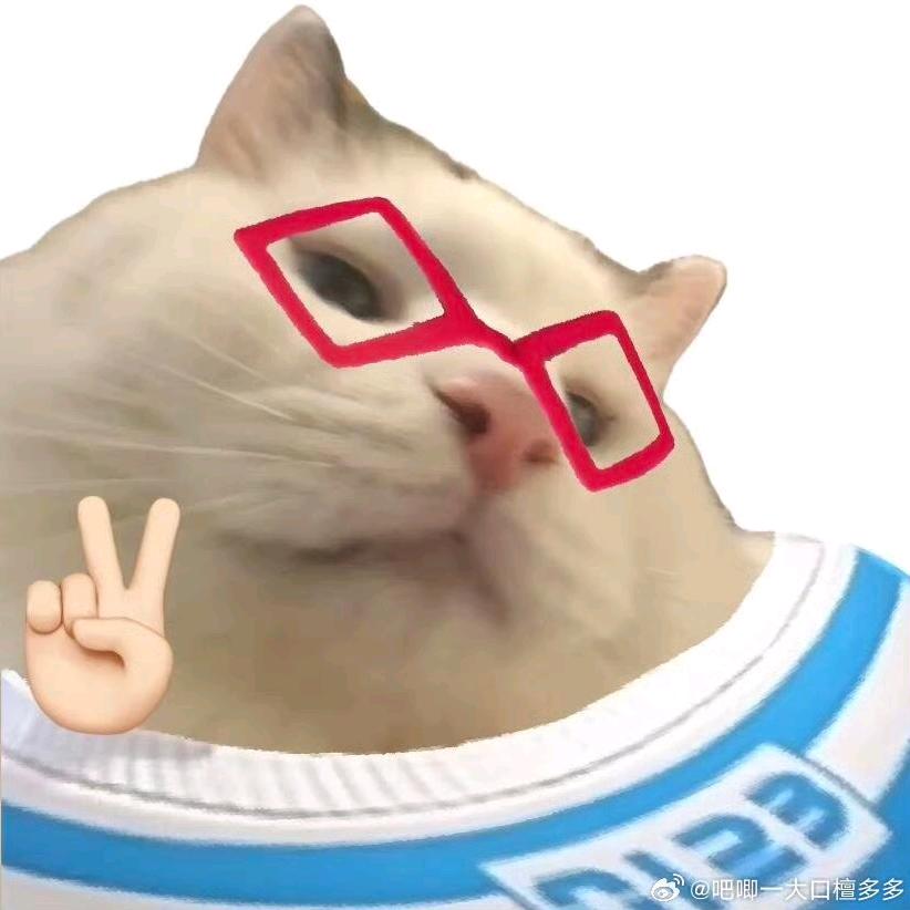茜茜