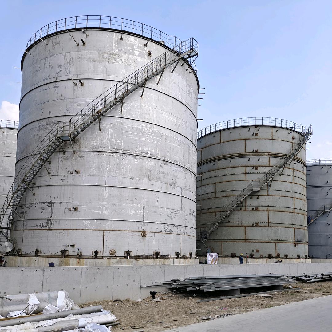 适者生存(尘客)