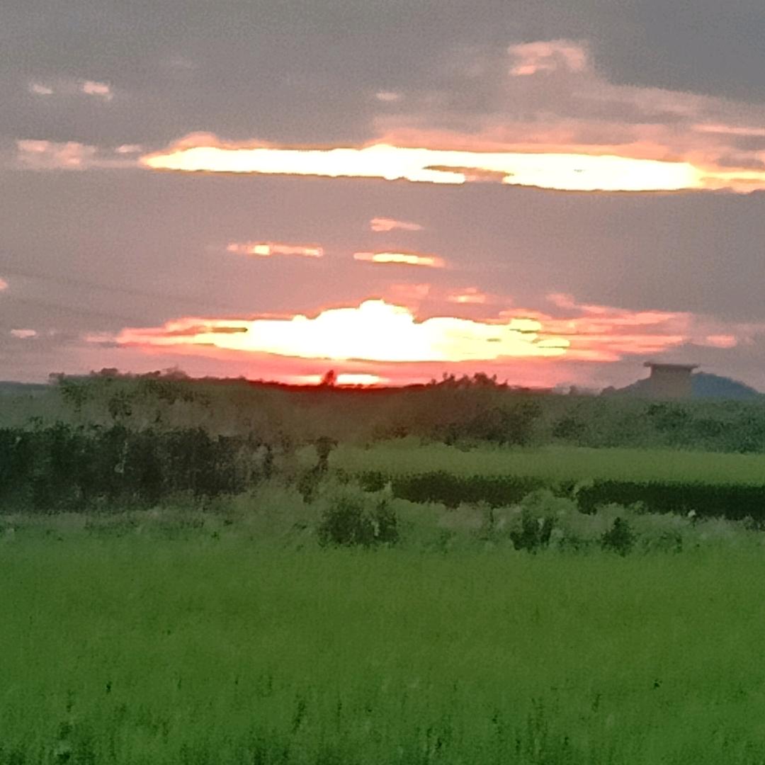 桂明