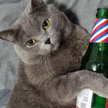 做̶个̶俗̶人̶