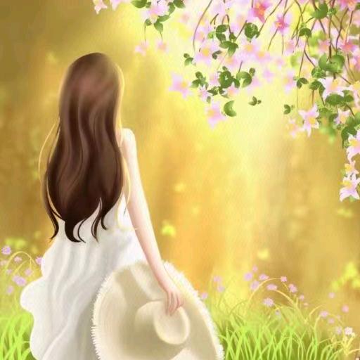 伤感情歌（开播不定时）