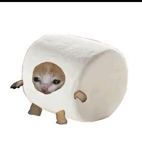 猫咪小剧场沙雕