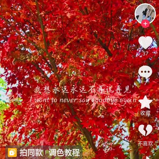 霜浓秋叶红