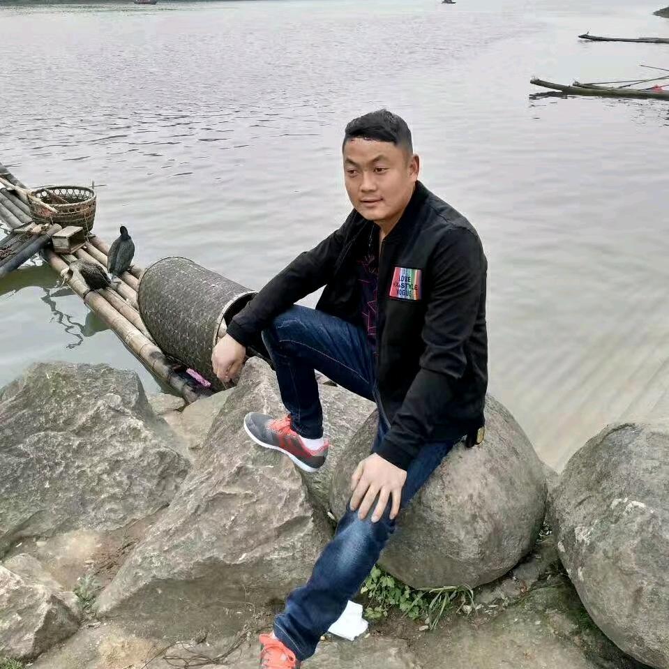 居杠新日雅迪电动车