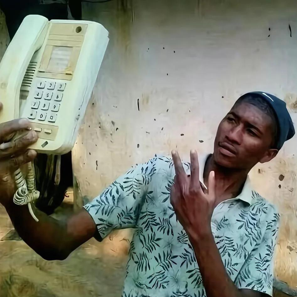 一树梨花压海棠