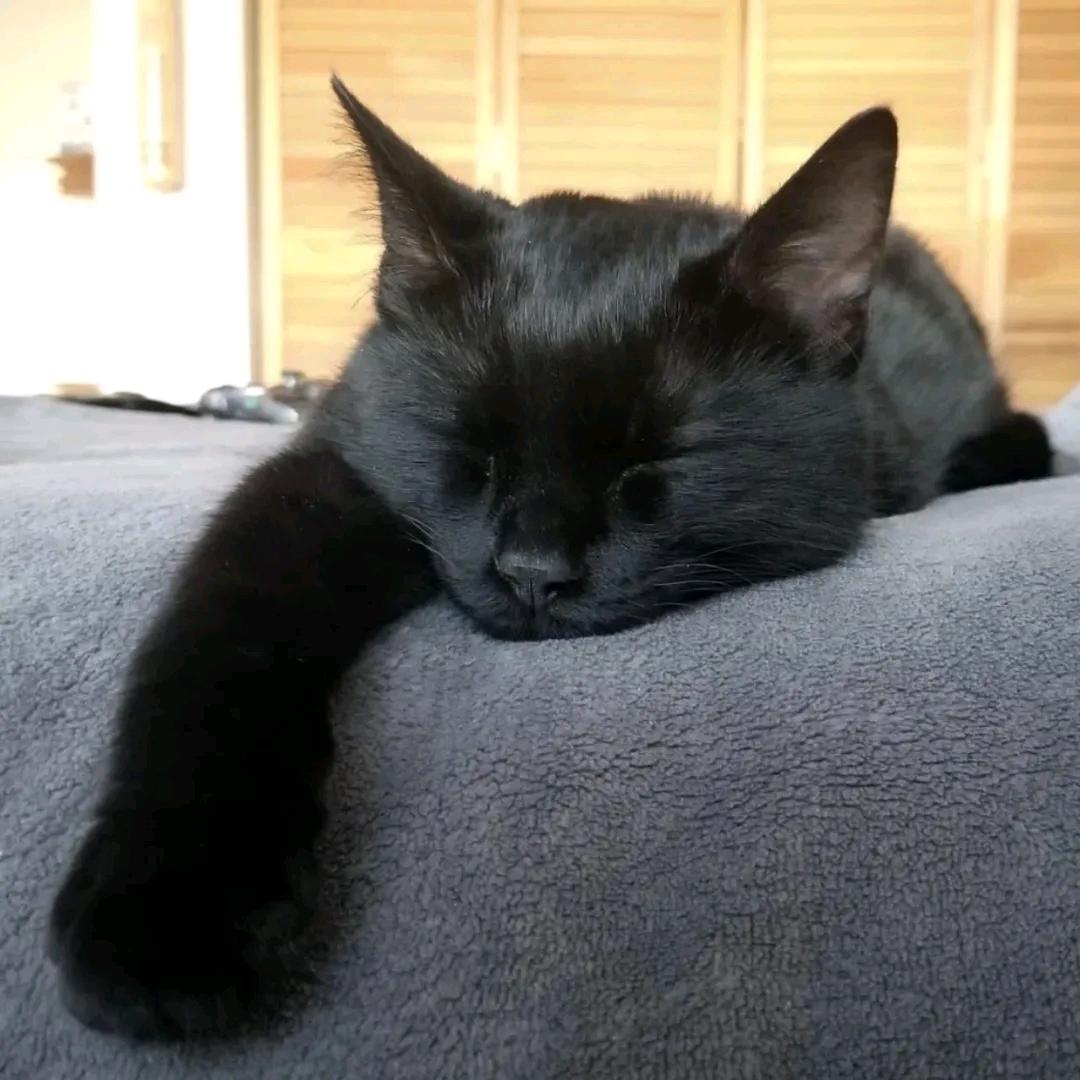 looo
