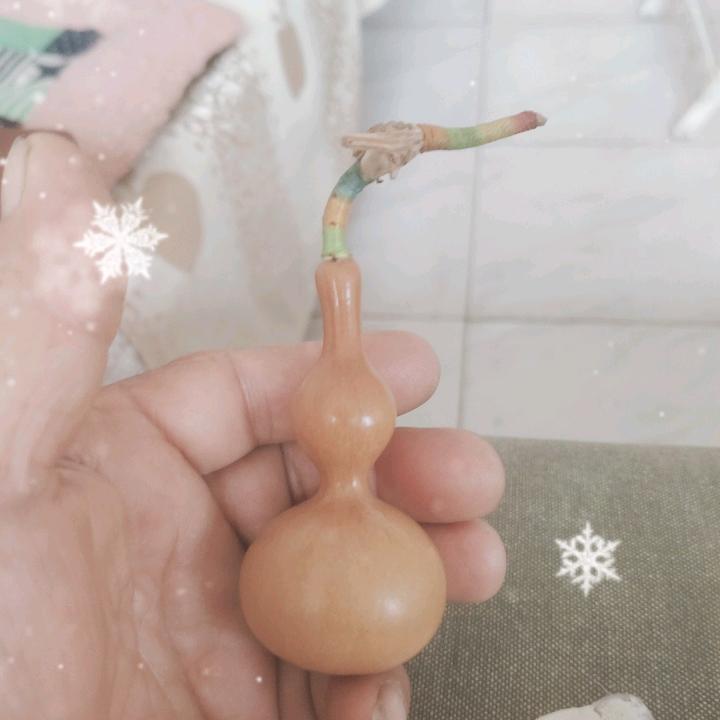 老来乐