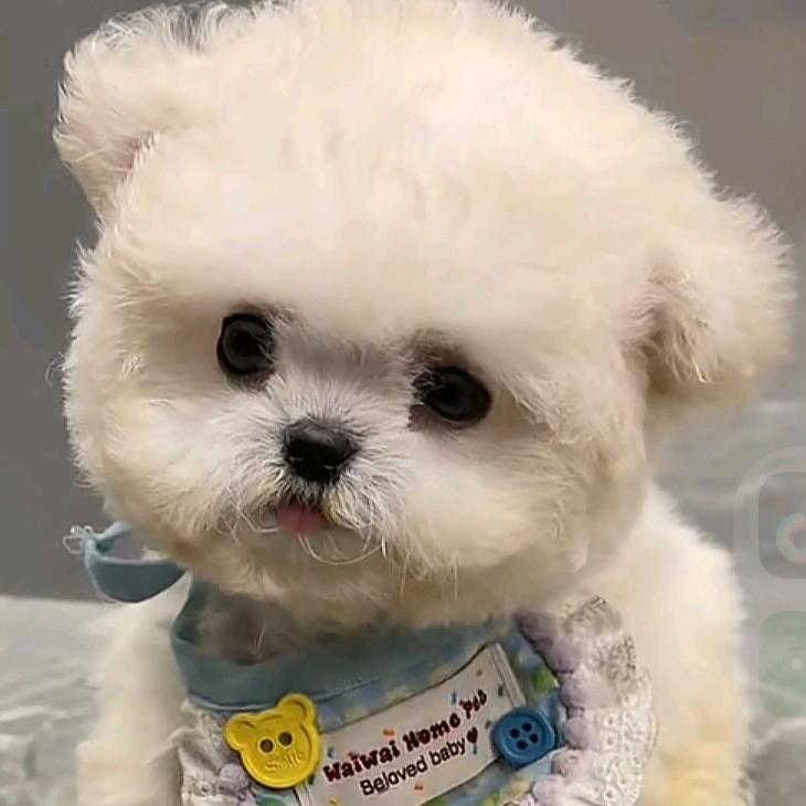 繁星一梦₍˄·͈༝·͈˄*₎◞ ̑̑