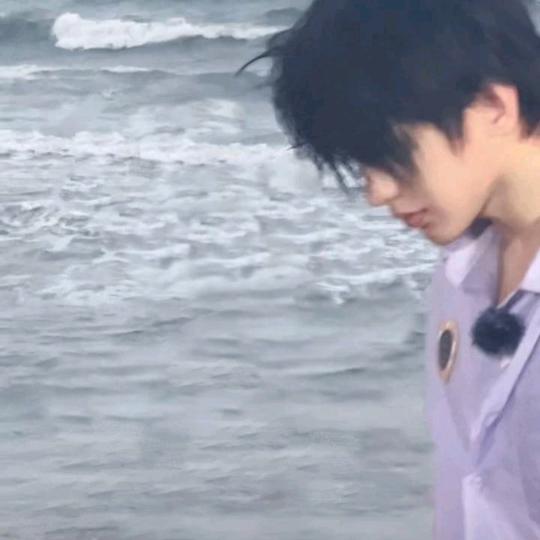蔡蔡✔