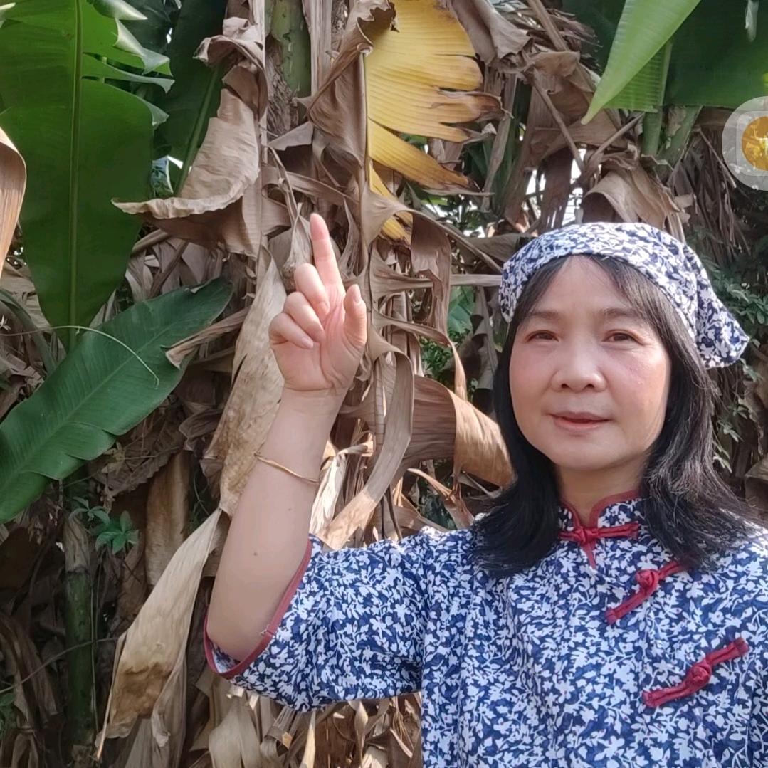 岑溪二妹在玉林