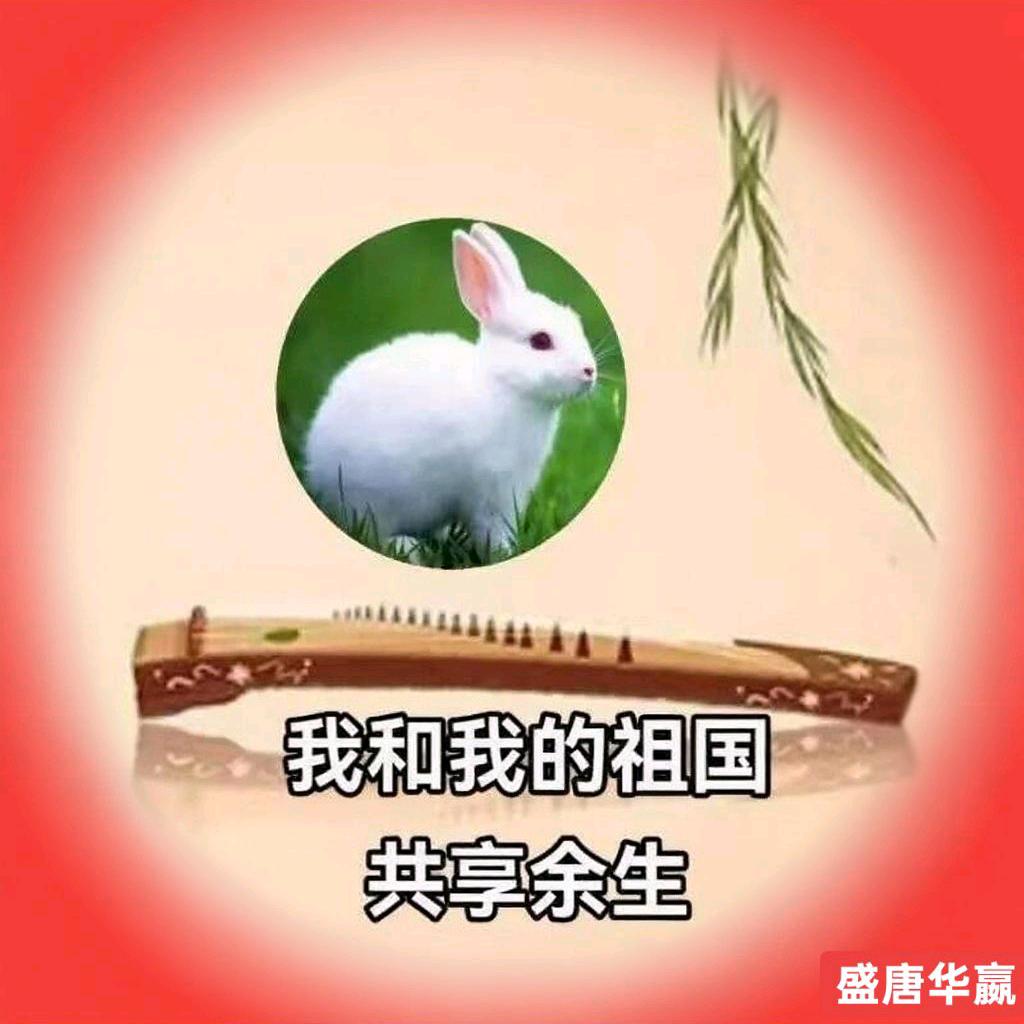 盛唐華嬴