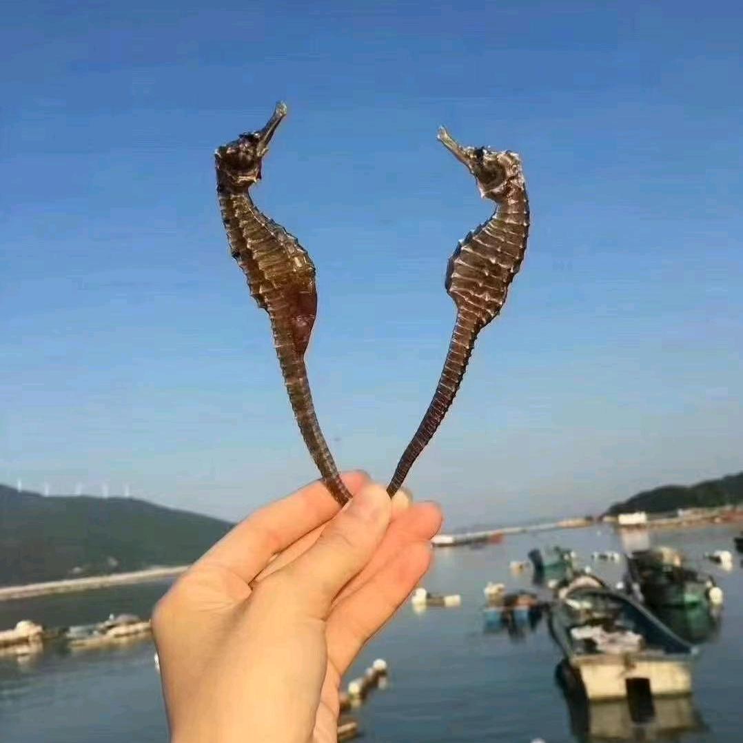 渔民海产店