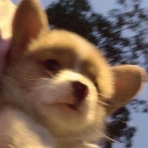 愉心飞行日记（炸机一次 已老实）