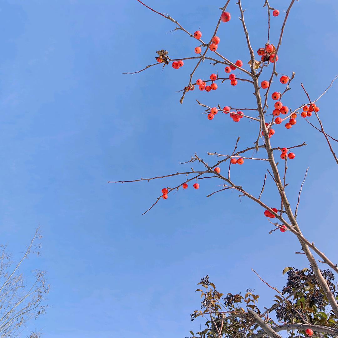 大辉吖🌞