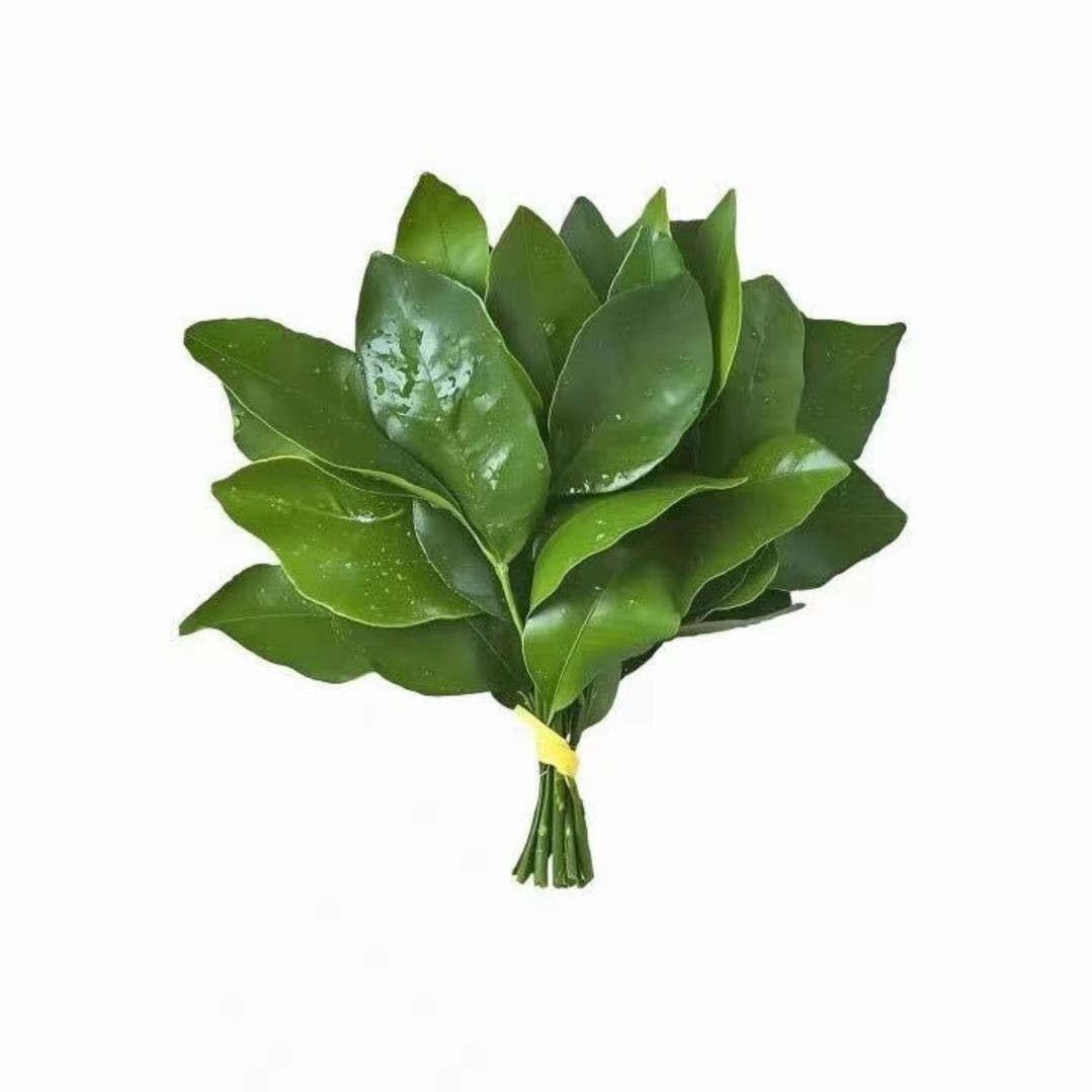 贰捌