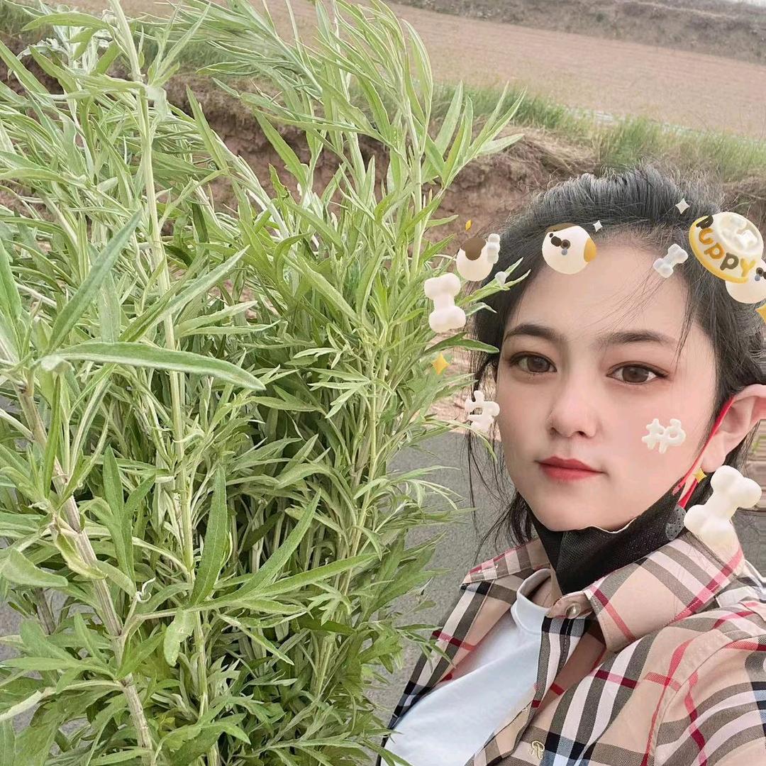 小阿菲🎤