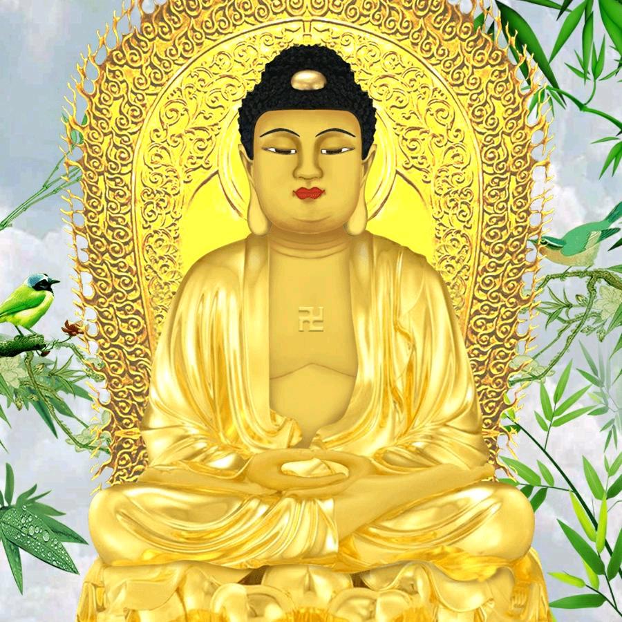 飞龙在天