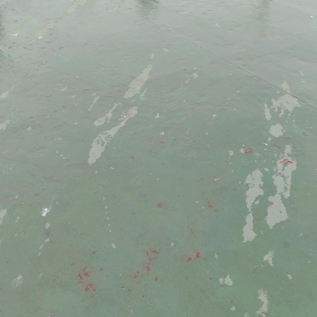 沉默