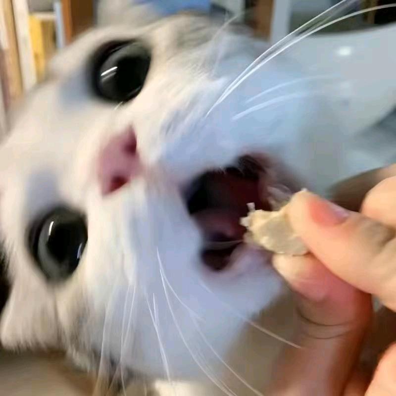 Yooo.