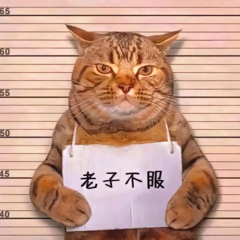 爸爸的爸爸叫什么
