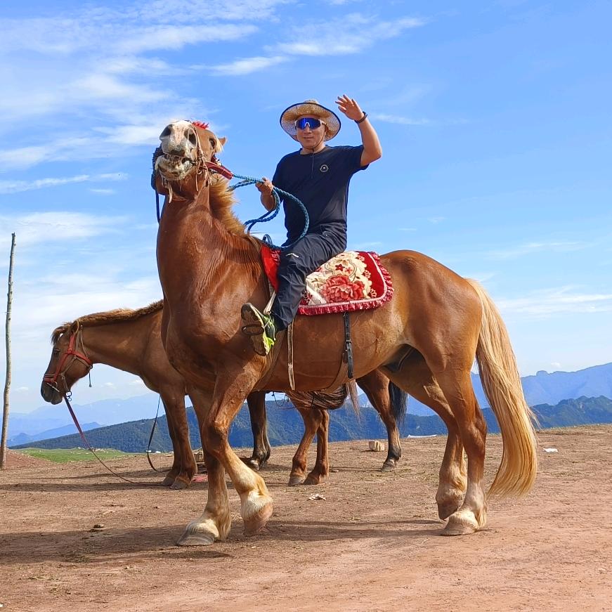 @薇薇婚庆婚介传媒