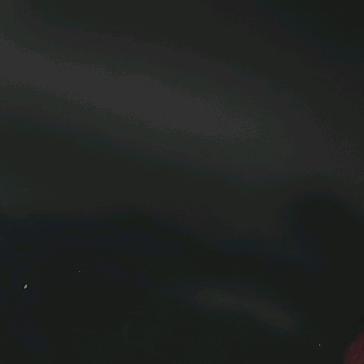 LY