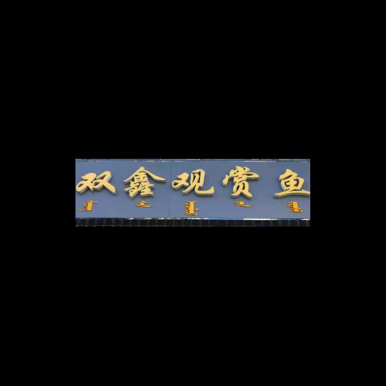 小波妞