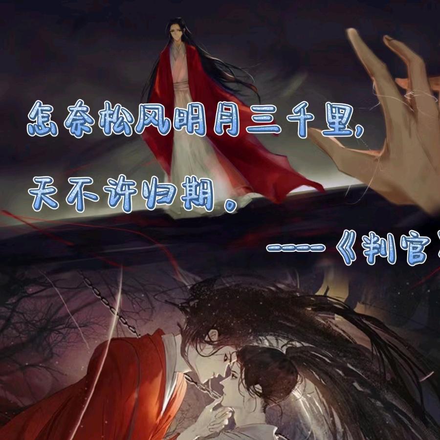 目之所及，未必是心之所向头像