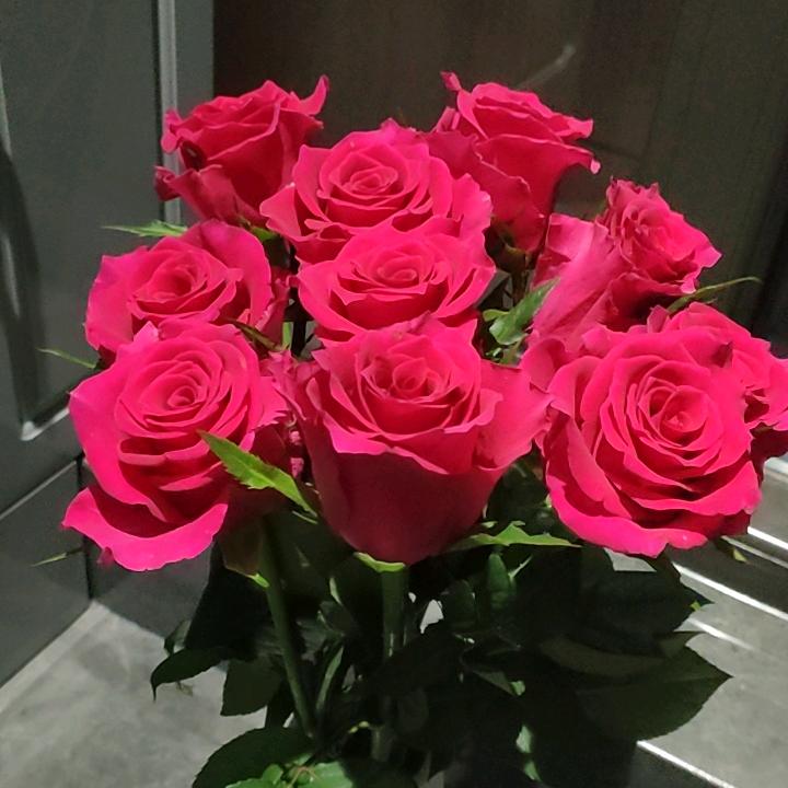 咕噜的花