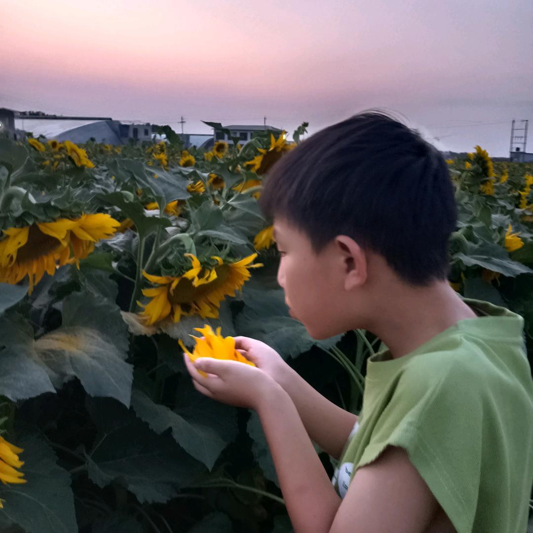 小阳仔同学
