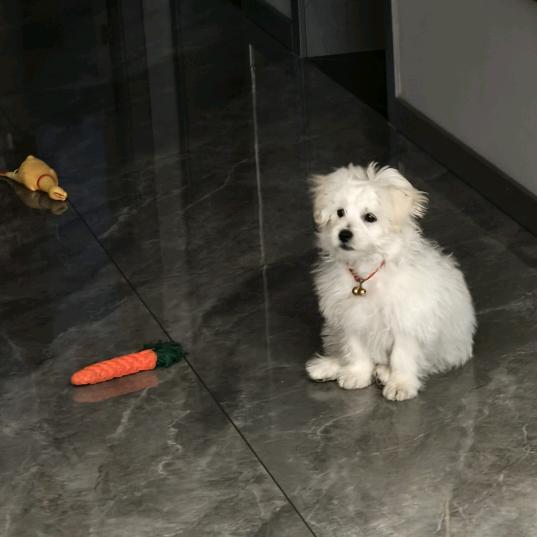毛毛毛毛毛