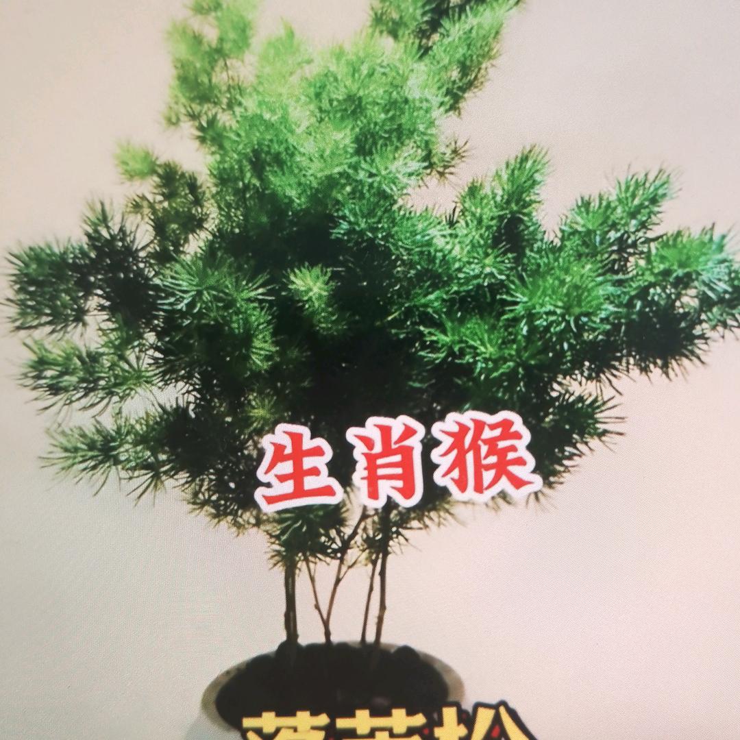 暑大根深