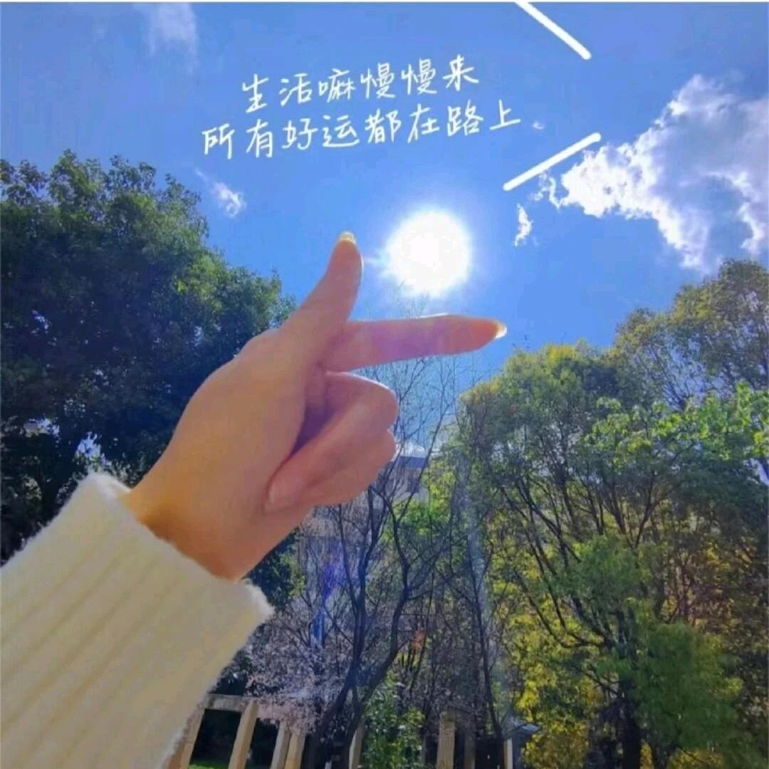 🌈🍀向阳而生🌈🌻