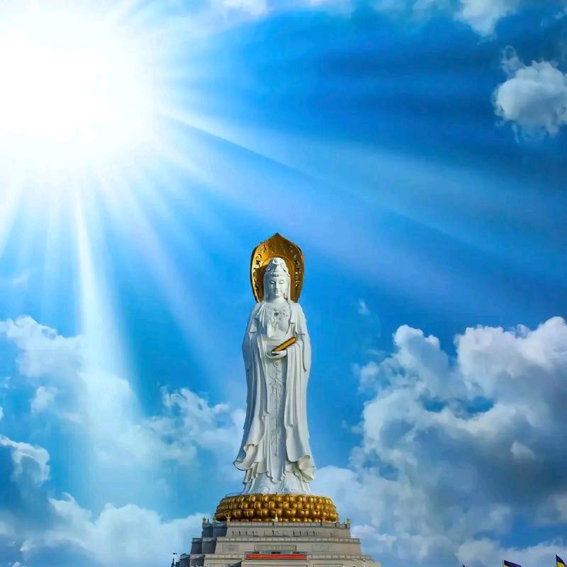 锦鲤附体，好运连连