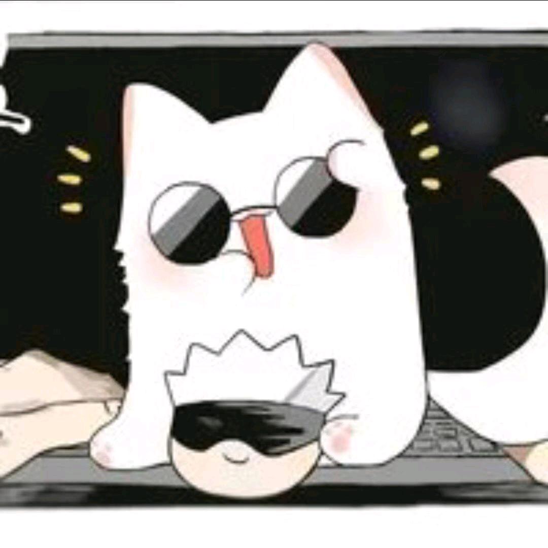 牛油果999