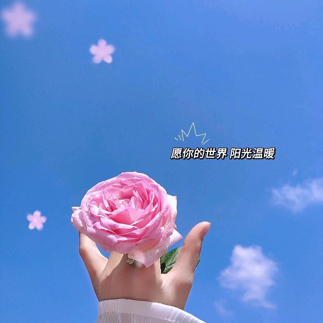 流水葬落花