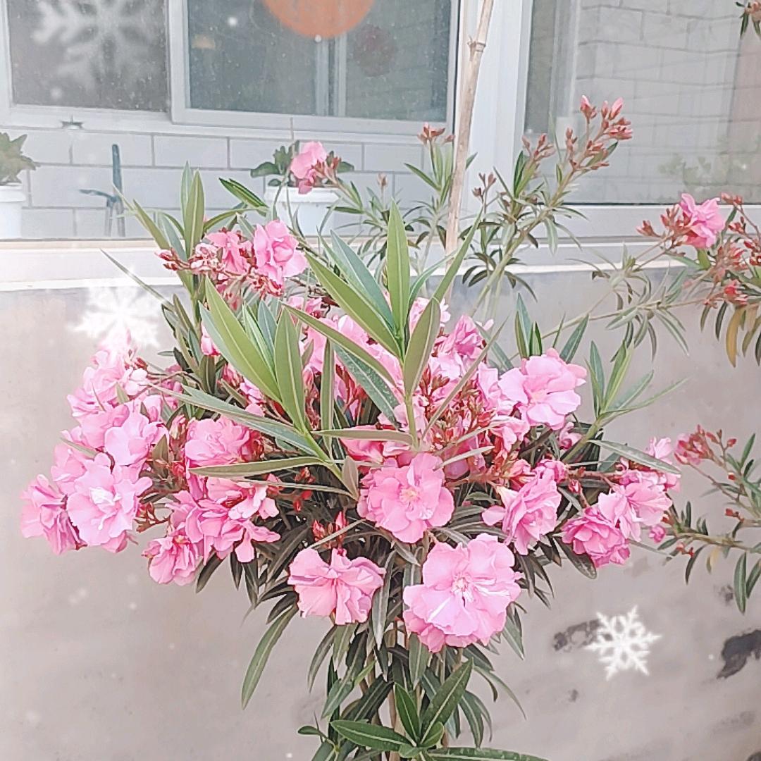 陈陈
