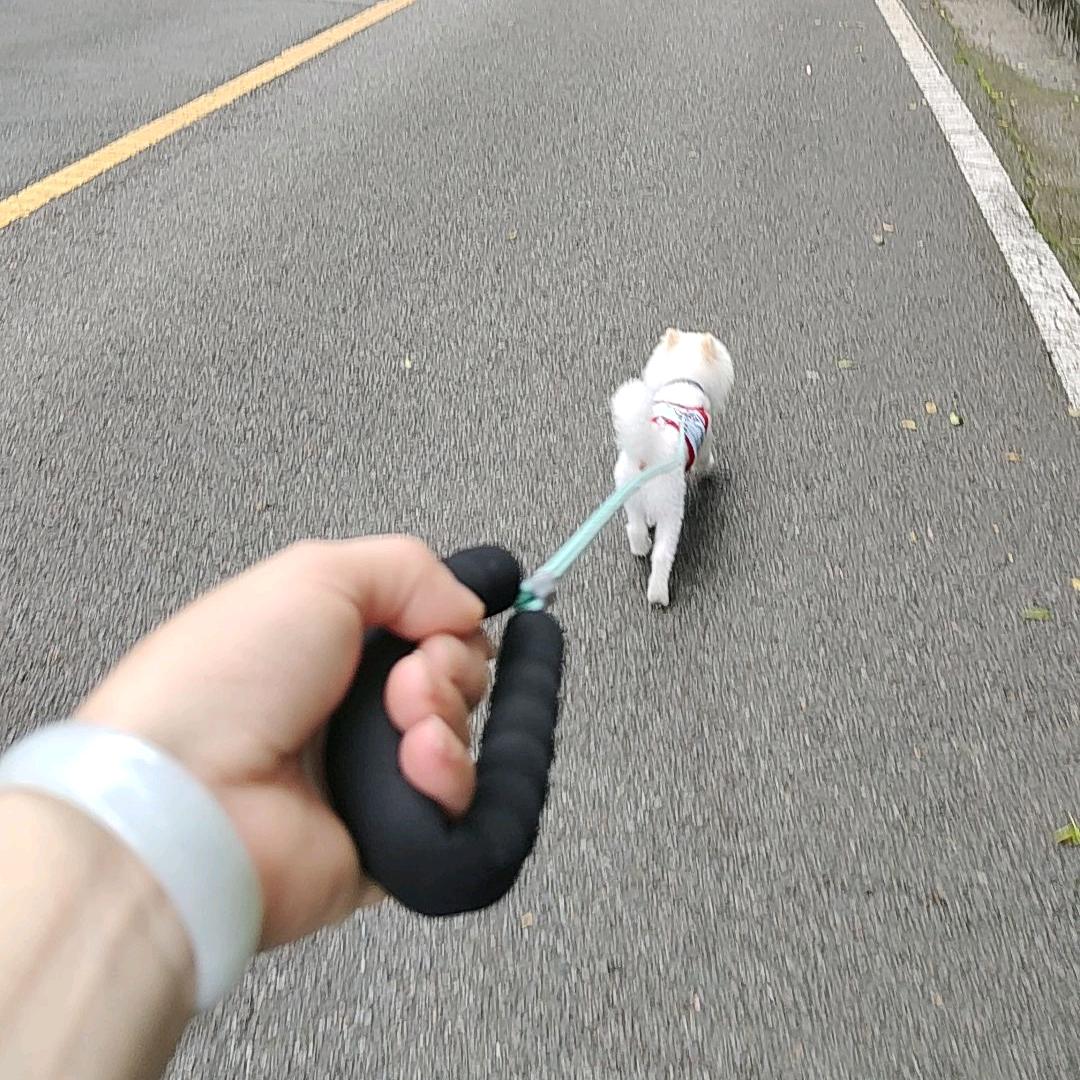 এ᭄心静自然ꦿོ࿐