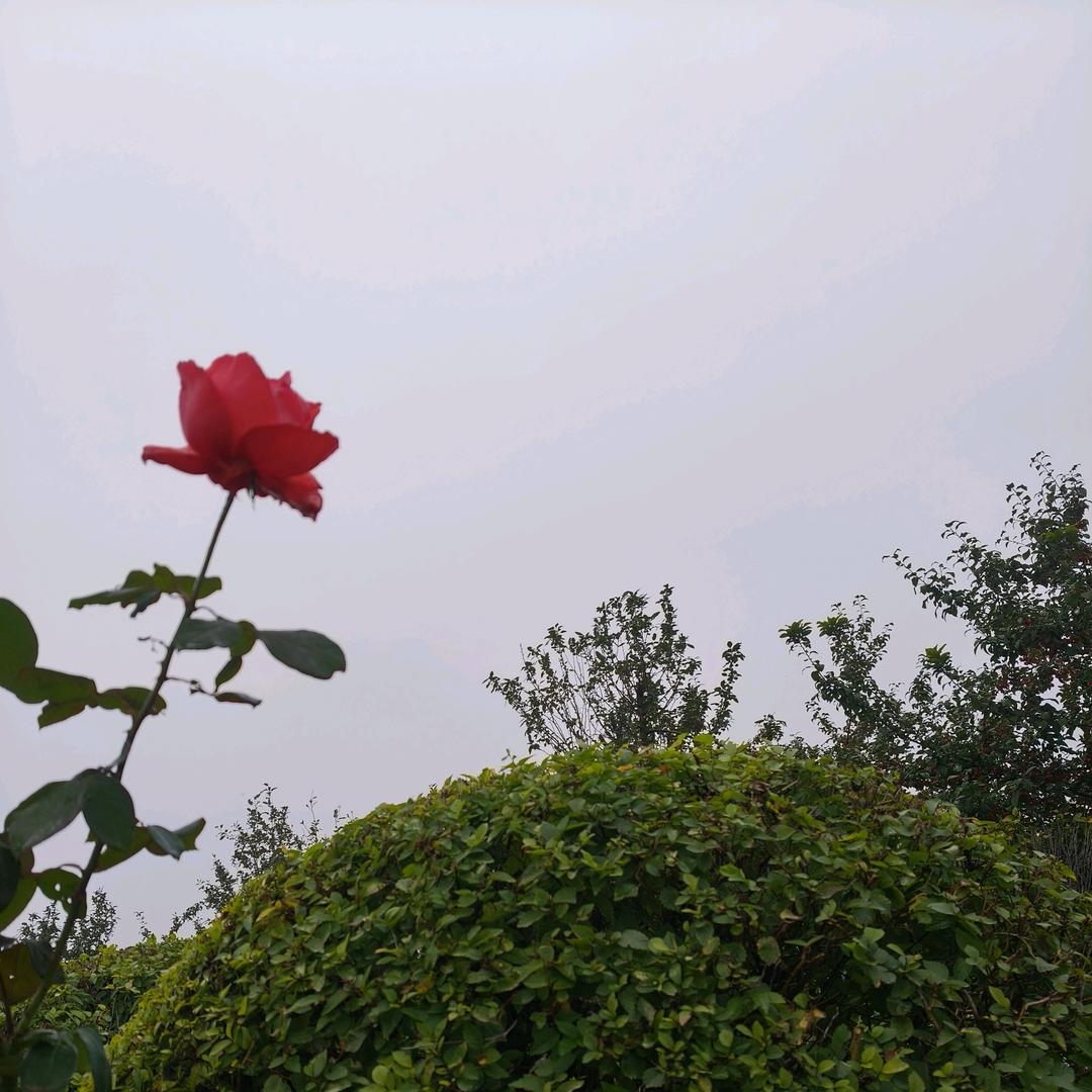 收藏时光