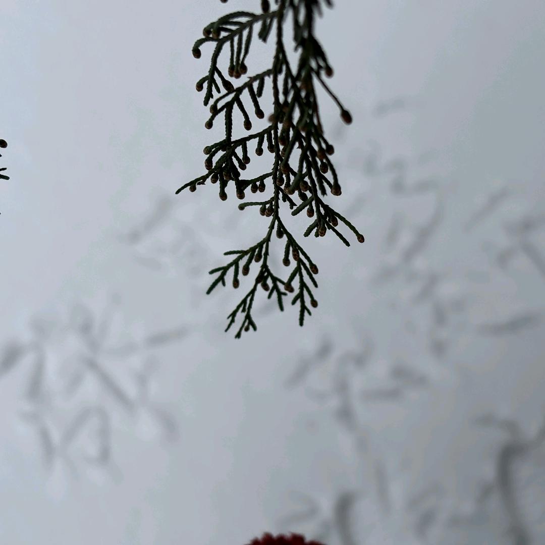 0211的底片