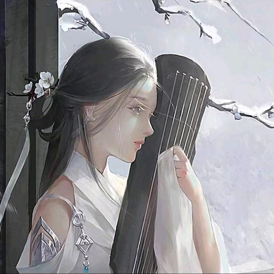 罗西追剧