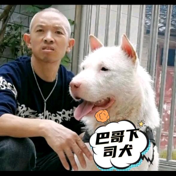 巴哥下司犬繁殖基地   （小号1）