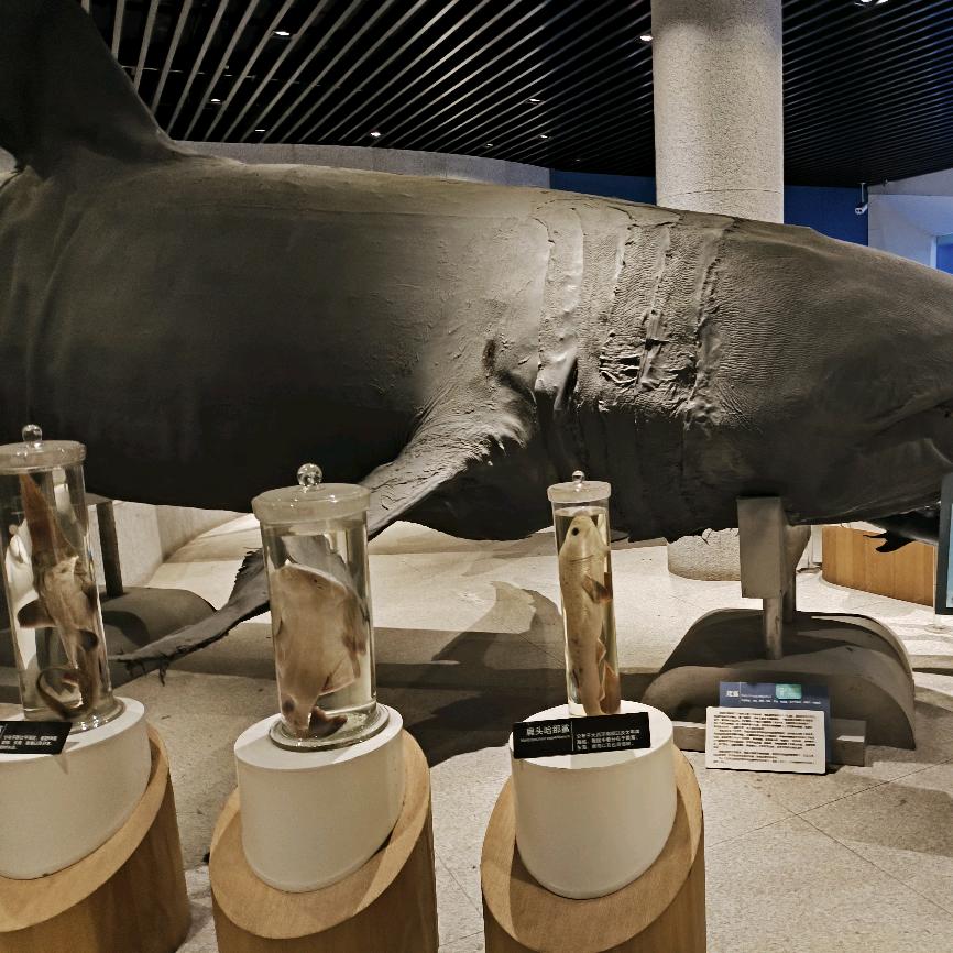 速捷电子商务中心（个体工商户）