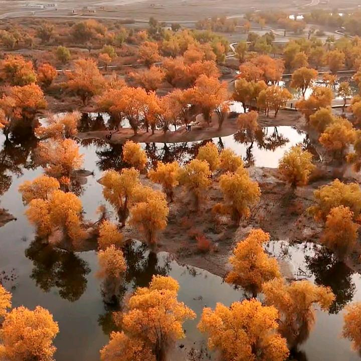 风电光伏新能源项目