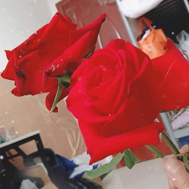迷糊的人生